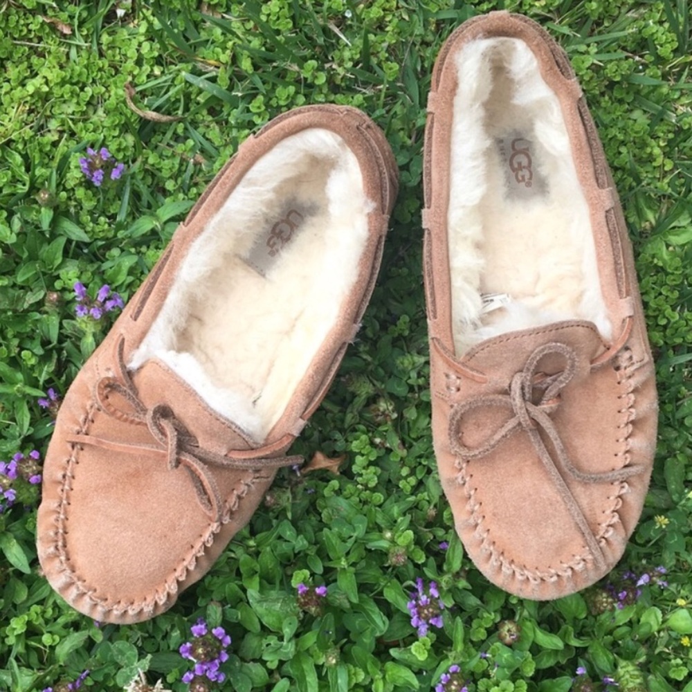 UGG Dakota Slipper Size 5